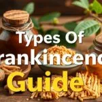 Different types of frankincense resin and essential oil, including Frankincense Sacra and Carterii, shown in detail.