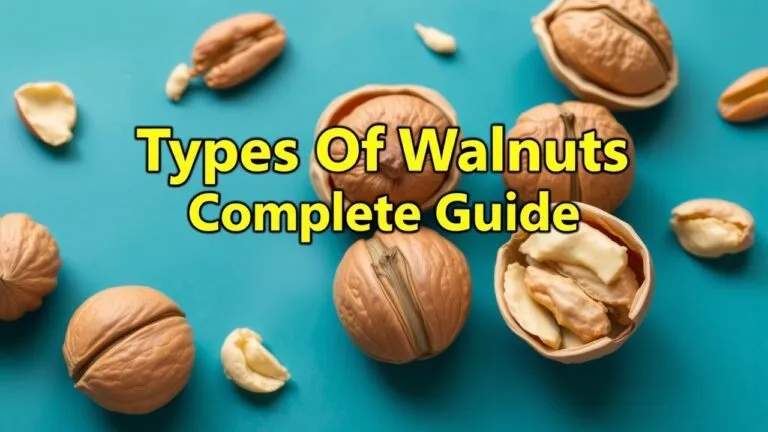 Various types of walnuts, including English walnuts, black walnuts, and other species, shown in a visually appealing arrangement.